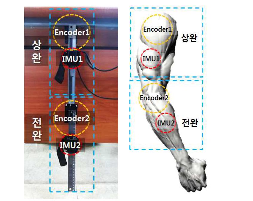 견관절과 주관절의 기구학적 분석을 통해 구현된 실험 환경 및 각 관절의 각도 데이터 비교를 위한 엔코더와 IMU 센서모듈의 배치