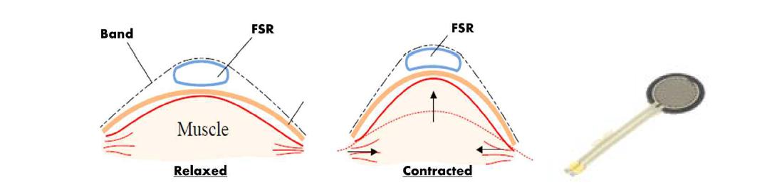 근육 상태 감지 원리 및 필름 방식의 힘센서
