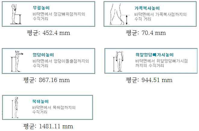 모델에 적용한 20대 한국남성 평균 치수