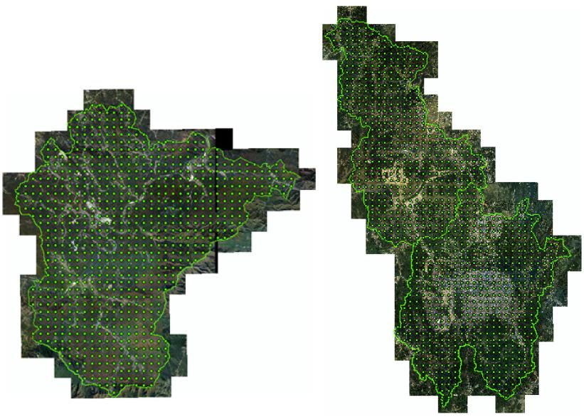 항공사진 기반 참조표본점(1km X 1km)