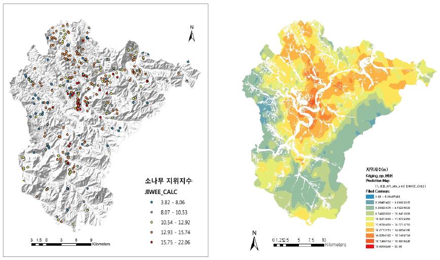 표본점별 소나무 지위지수와 지위지수 분포 예측지도