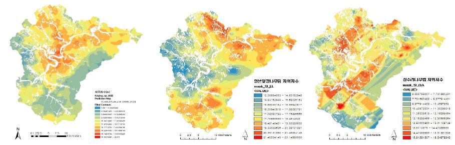 수종별 지위지수 예측지도(좌로부터 소나무림, 일본잎갈나무림, 상수리나무림)