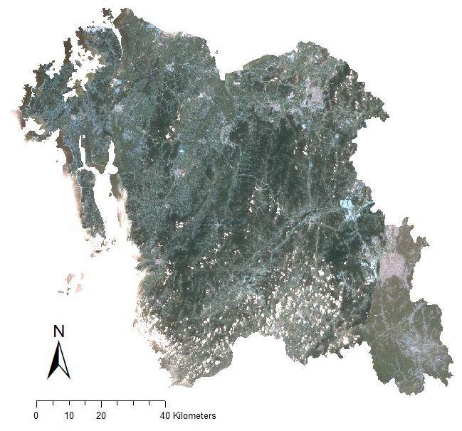 Landsat TM-5 모자이크 영상(충청남도)