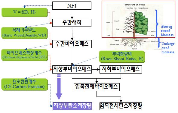 표본점 단위 산림탄소저장량 분석 흐름도