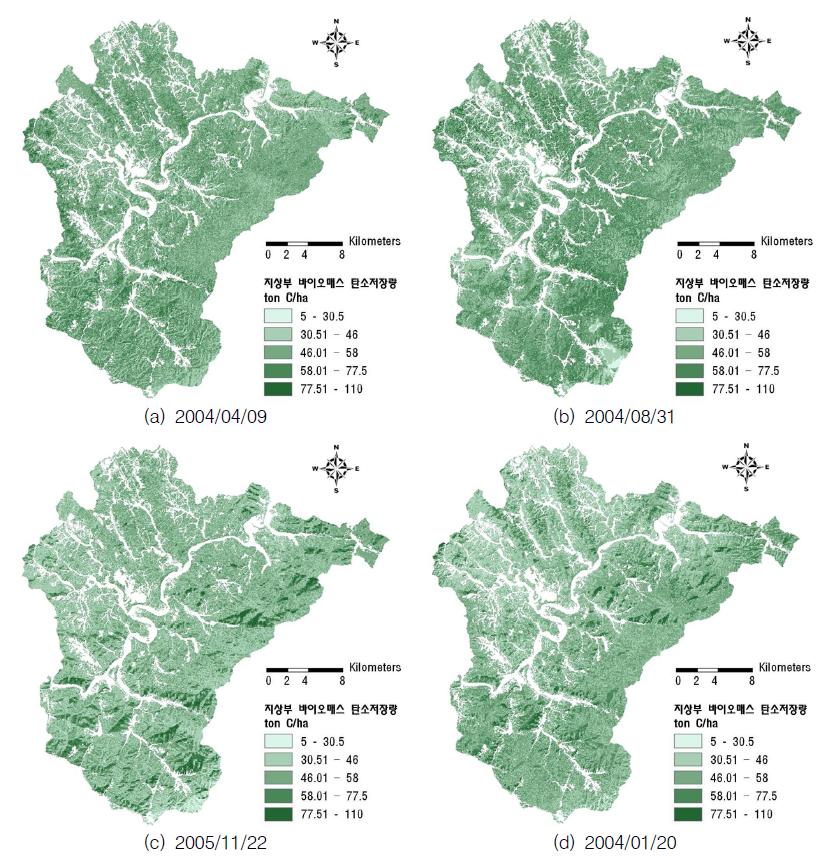 계절별 단양군 지상부 바이오매스 탄소지도