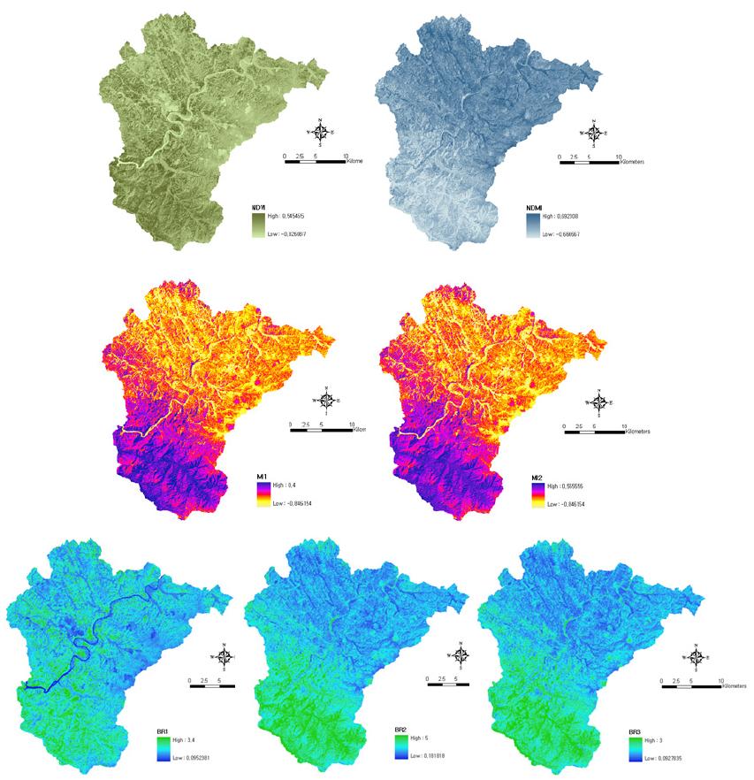 위성영상에서 생성된 변수