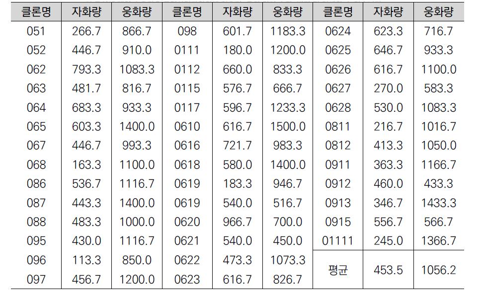 2007년 삼나무 클론별 자⋅웅화량