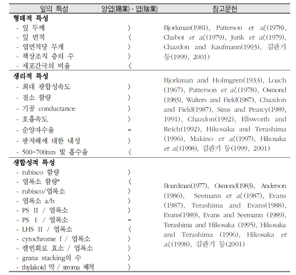 음엽과 양엽의 형태적, 생리적, 생합성적 특성