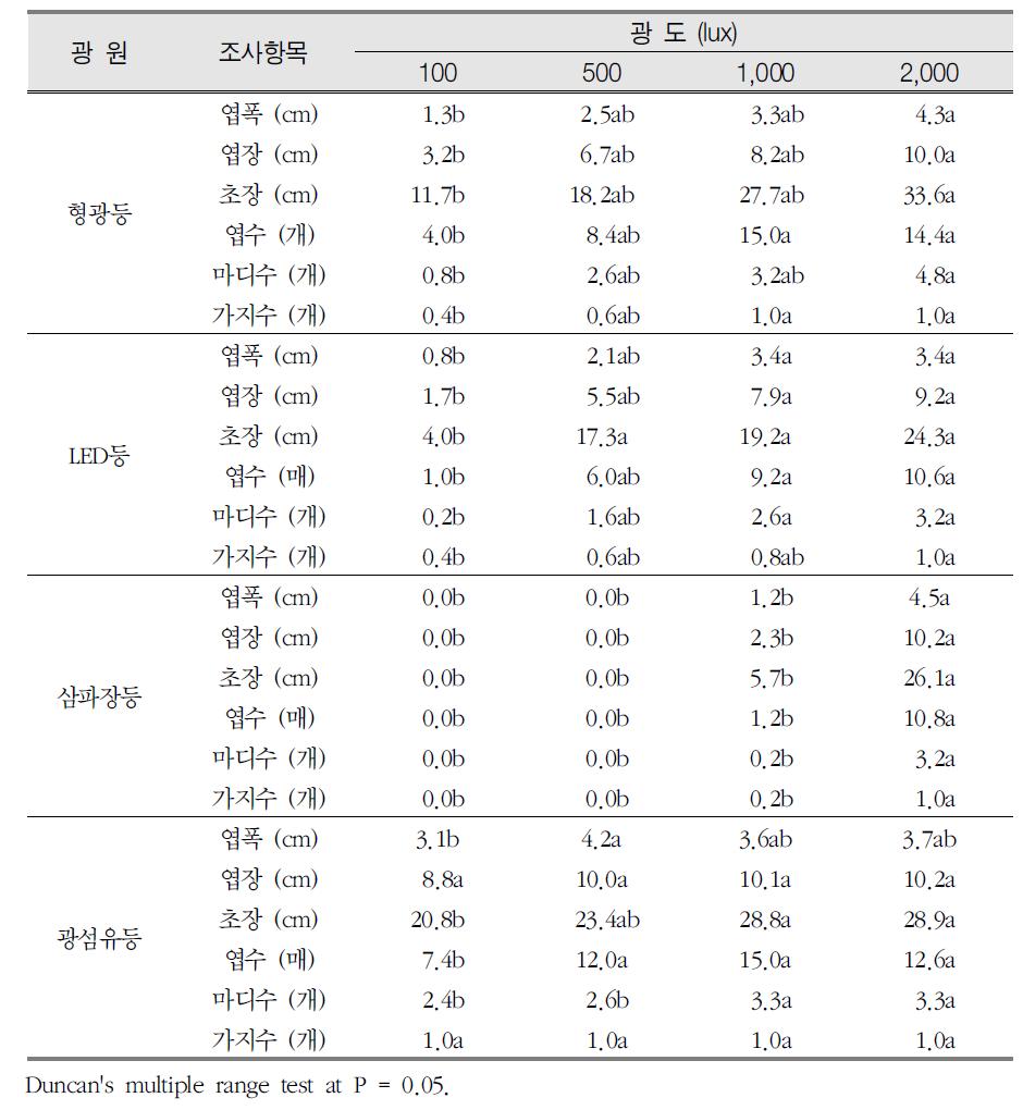 광원별, 광도별 굴거리나무의 형태적 특성