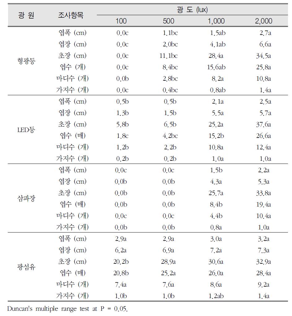 광원별, 광도별 녹나무의 형태적 특성