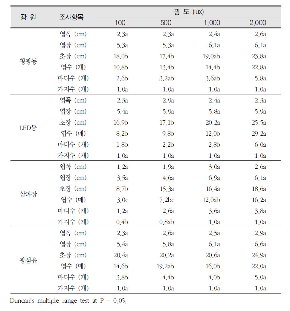 광원별, 광도별 후피향나무의 형태적 특성