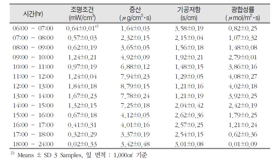 시간과 조명조건에 따른 줄사철나무의 증산, 기공저항, 광합성률 변화