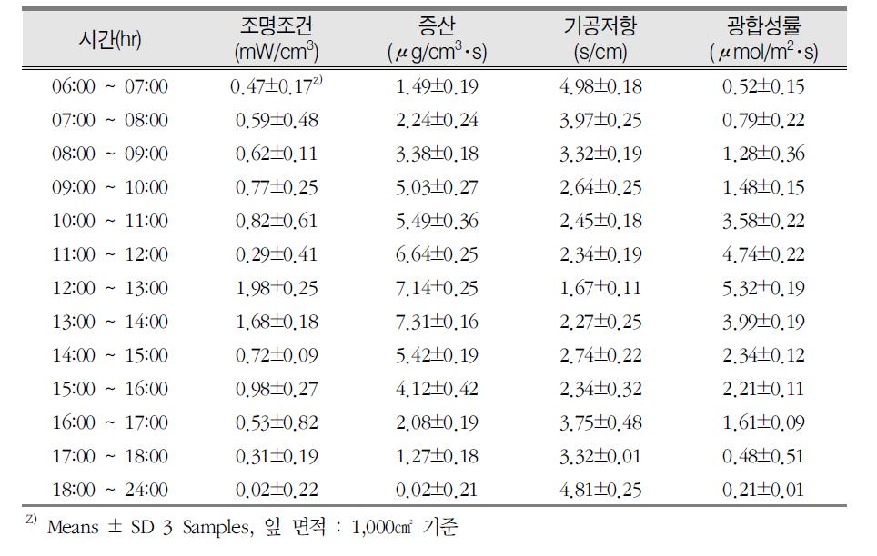 시간과 조명조건에 따른 후피향나무의 증산, 기공저항, 광합성률 변화