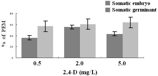 백합나무 체세포배 및 발아체로부터 배발생조직 재유도에 영향하는 2,4-D 농도 효과
