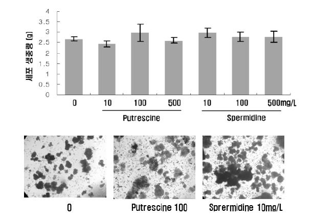 Polyamine 종류 및 농도 별 첨가에 따른 세포증식 효과