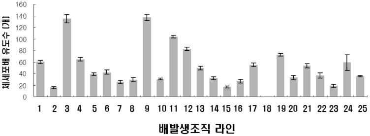 배발생조직 25개 라인계통으로부터 체세포배 유도 수 비교