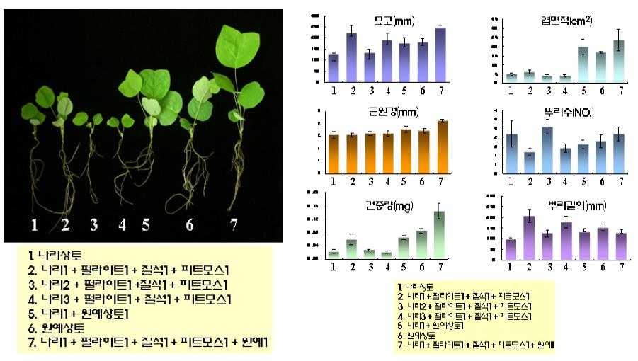 상토 종류 및 혼합 조합에 따른 배양묘 순화