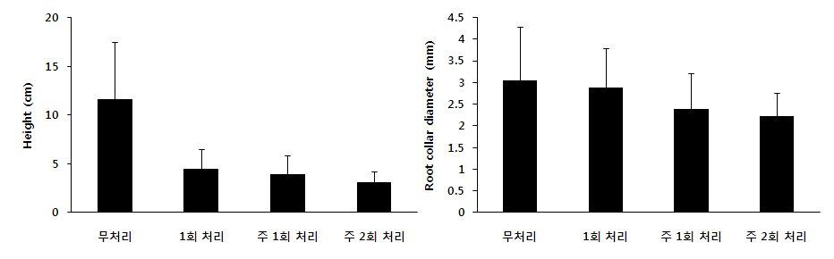 Ethephon처리 14주 후 수고생장(좌) 및 근원경(우) 비교