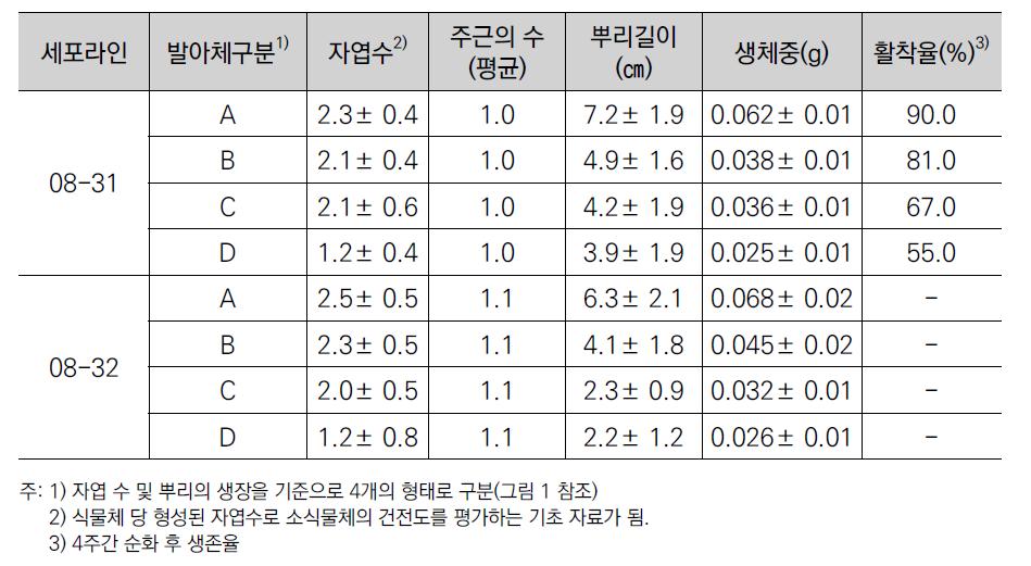 백합나무 체세포배 유래 발아체의 특성