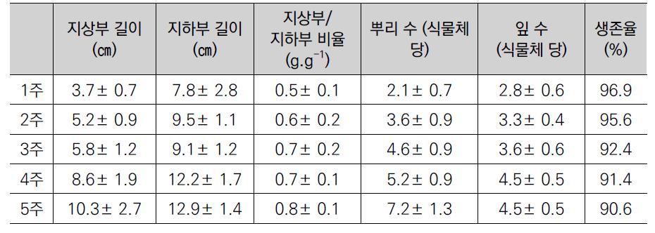 백합나무 클론배양묘의 온실 순화 기간에 따른 생육 특성 비교