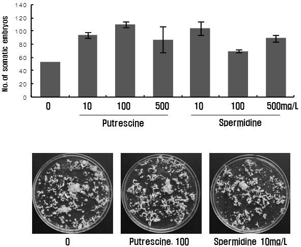 Polyamine 종류 및 농도 별 첨가에 따른 체세포배 유도 효과