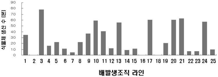 배발생조직 25개 계통으로부터 식물체 생산 수 비교