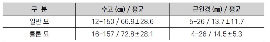 백합나무 클론 묘 조림지 생육 조사