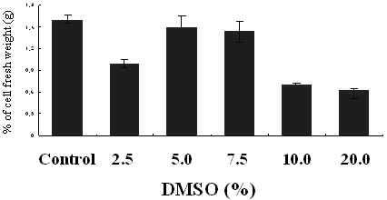 DMSO 농도 별 전처리에 따른 초저온보존으로부터 세포 증식 효과