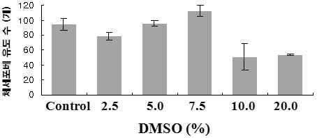 DMSO 농도 별 전처리에 따른 초저온보존 유래 세포로부터 체세포배 유도 효과