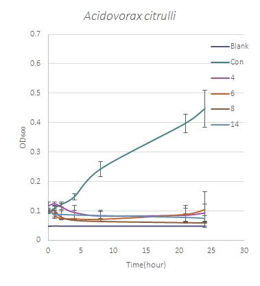 Acidovorax avenae subsp. citrulli를 대상으로 직접 접촉에 의한 항세균 활성 효과