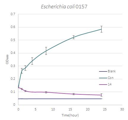 Escherichia coli O157을 대상으로 직접 접촉에 의한 항세균 활성 효과