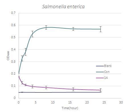 Salmonella enterica를 대상으로 직접 접촉에 의한 항세균 활성 효과