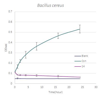 Bacillus cereus를 대상으로 직접 접촉에 의한 항세균 활성 효과