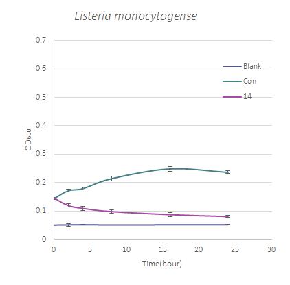 Listeria monocytogense를 대상으로 직접 접촉에 의한 항세균 활성 효과