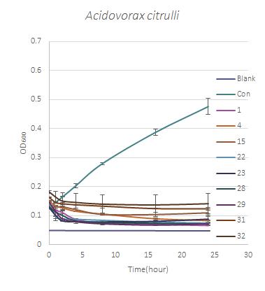 Acidovorax avenae subsp. citrulli를 대상으로 직접 접촉에 의한 식물체 정유 분리성분의 항세균 활성 효과