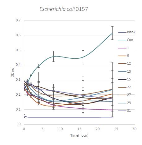 Escherichia coli O157을 대상으로 직접 접촉에 의한 식물체 정유 분리성분의 항세균 활성 효과