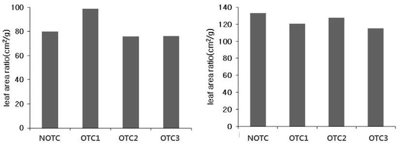 이산화탄소 농도 처리구별 상수리나무(좌)와 물푸레나무(우)의 잎면적비