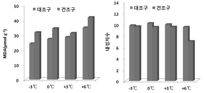 생육온도 및 수분조건에 따른 MDA 함량과 내성지수 변화