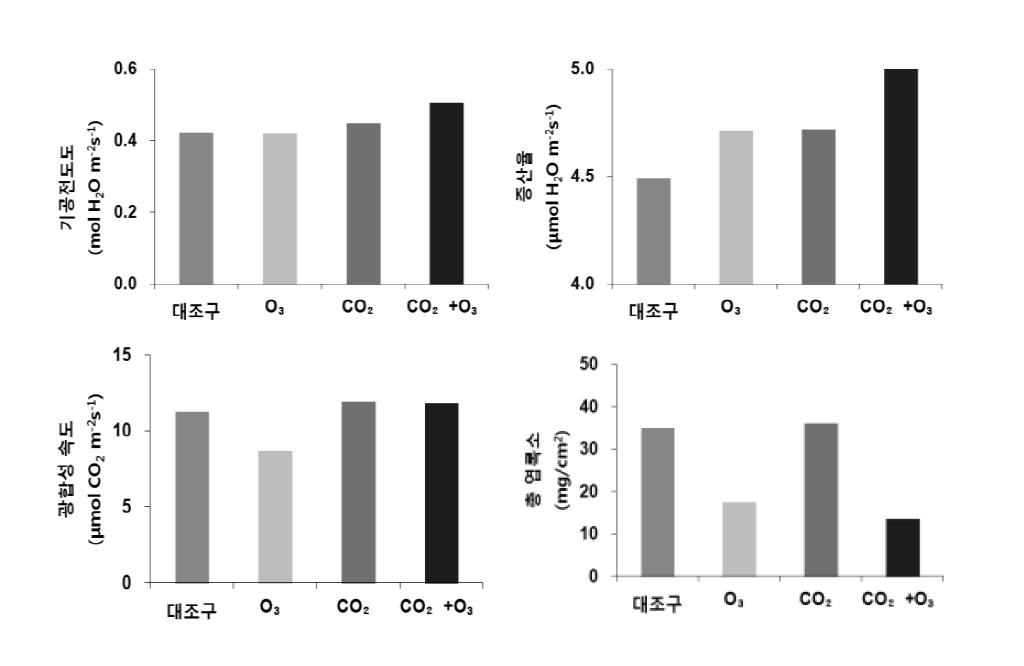 CO2 및 O3 농도 변화에 따른 현사시나무의 광합성 특성 및 엽록소 함량