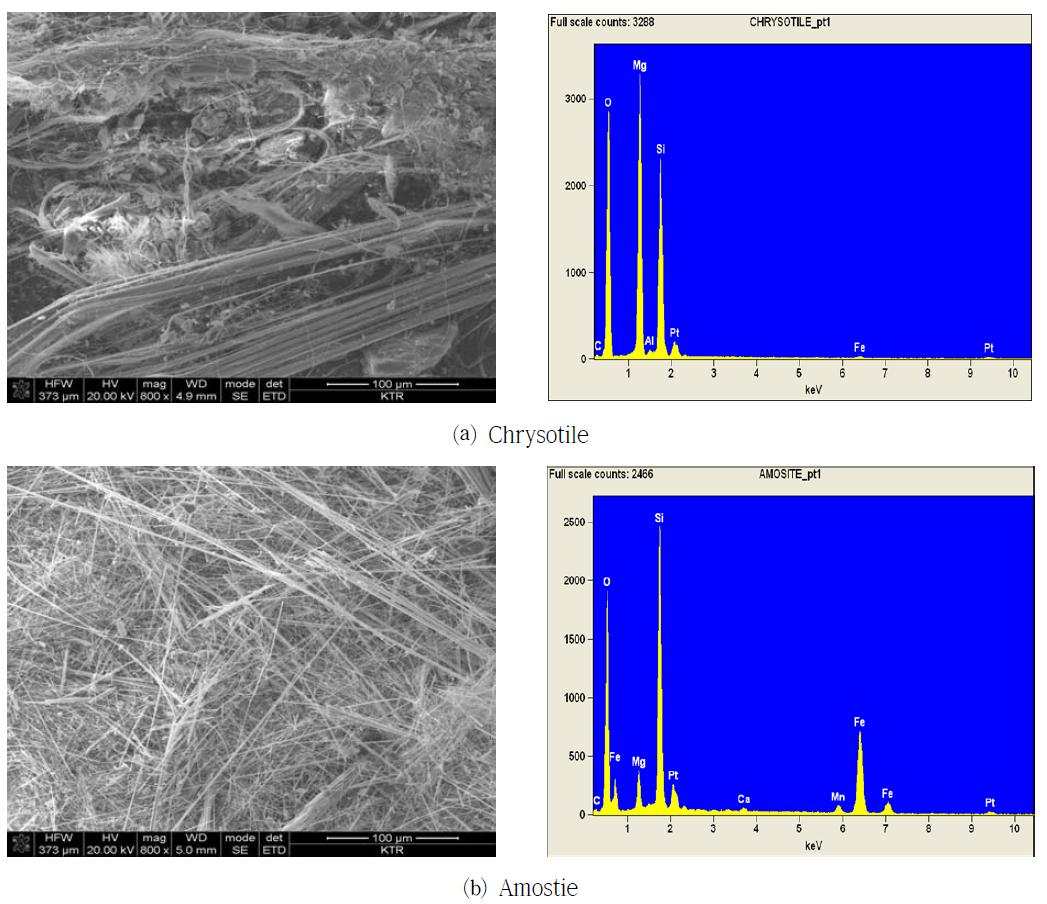 Asbestos image and spectrum by SEM-EDX