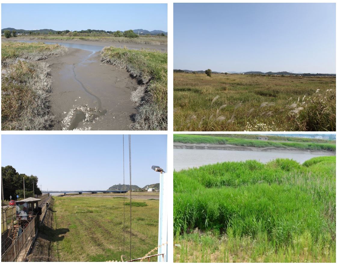 Songchon wetland.