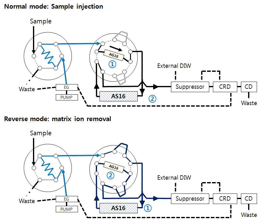 Ion Seperation Sequence and Eluent Flow Path Before and After Column Switching