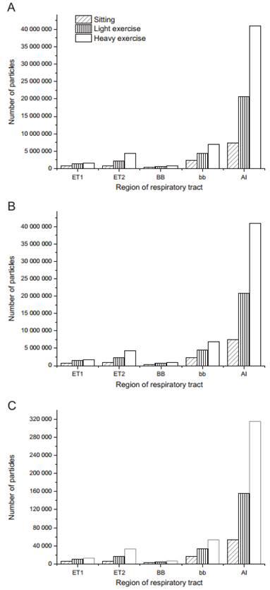 Amounts of deposited particle doses into the respiratory system of an adult male at different levels of exercise