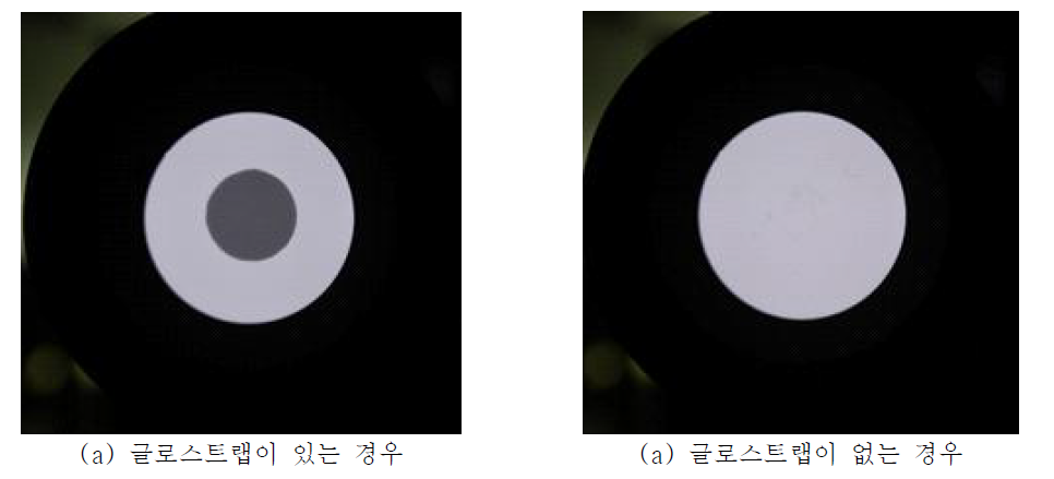 글로스트랩 사진