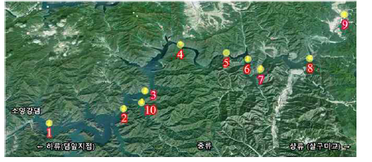 Location of sampling sites in Lake Soyang