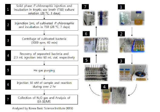 Nitrogen and oxygen isotope analysis of nitrate using denitrification method (Kim et al., 2012)