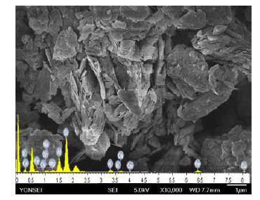 SEM micrograph and the EDS spectrum of the smectite from 1222-03 area.