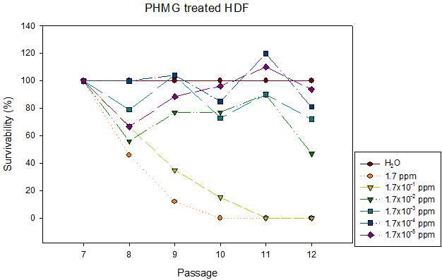 PHMG를 처리한 세포의 수 측정