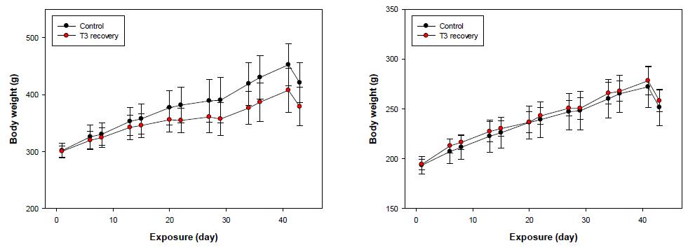 회복군의 체중 변화(좌 : 수컷 및 우 : 암컷)