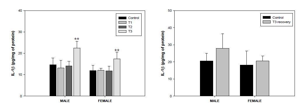 노출군(좌) 및 노출 회복군(우)의 IL-1β 분석 결과